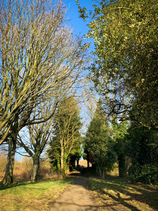 Getting Outside